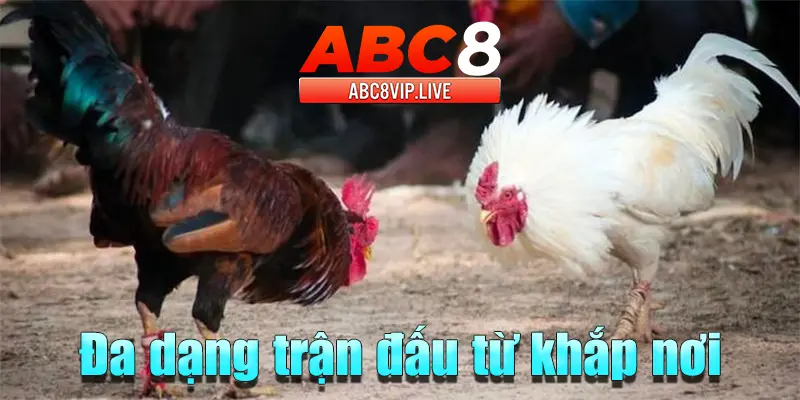 abc8-da-dang-tran-dau-tren-the-gioi