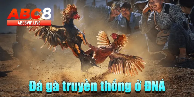 da-ga-abc8-truyen-thong